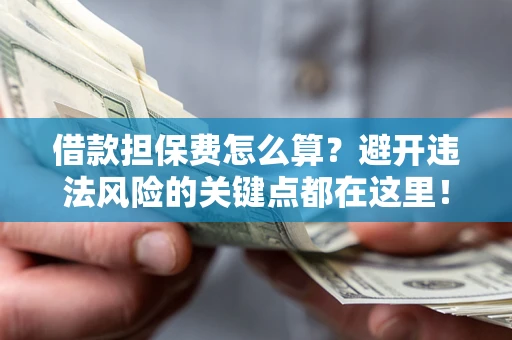 济南借款担保费怎么算？避开违法风险的关键点都在这里！
