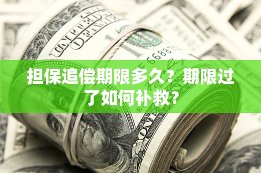 济南担保追偿期限多久？期限过了如何补救？