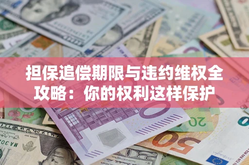 济南担保追偿期限与违约维权全攻略：你的权利这样保护