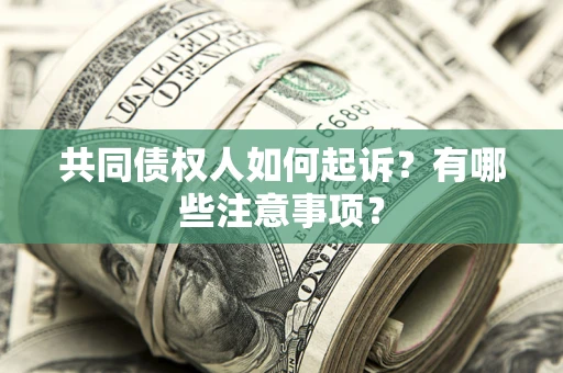济南共同债权人如何起诉？有哪些注意事项？